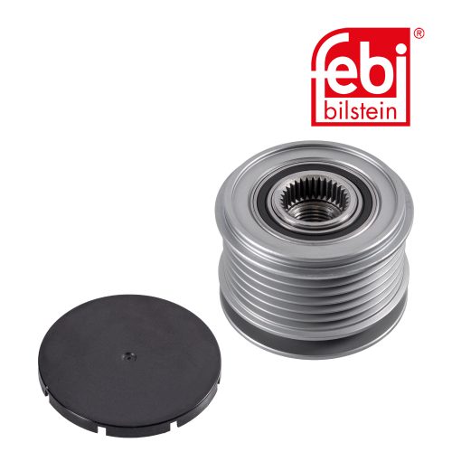 Polea alternador con tapa rueda libre Renault Megane Scenic Symbol Clio